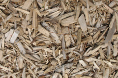 biomass boilers Treven